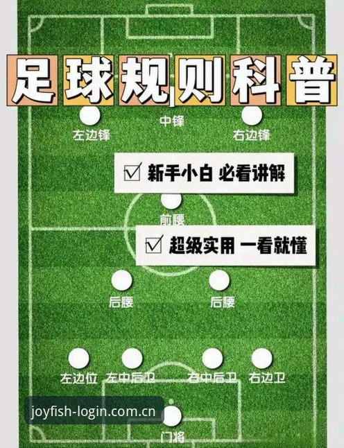 乐鱼体育平台足球数据攻略详解：从新手到达人的技术路径