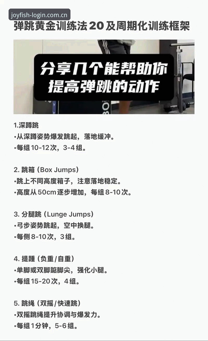 乐鱼体育平台极速版高效使用技巧：从入门到精通的必备知识